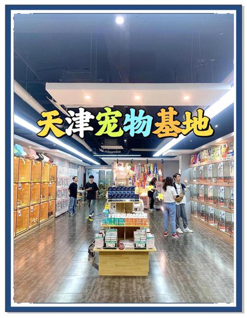 宠物批发