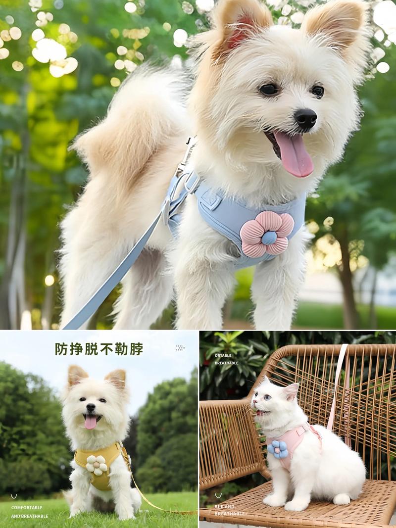 宠物玩具市场的新趋势